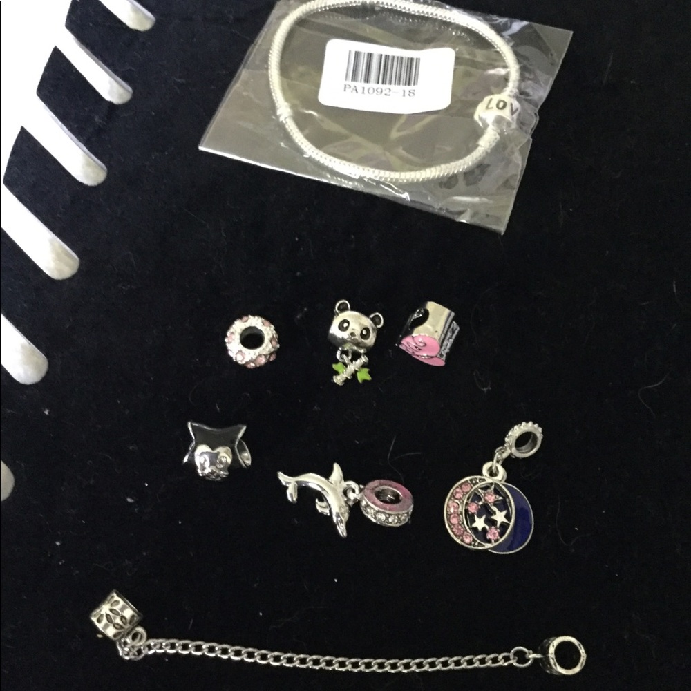 European in Pandora charms